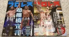 週刊プロレス　No.2383,2384
