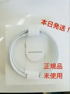 即日発送！Apple純正ライトニングケーブル　タイプC 1メートル【新品未使用】