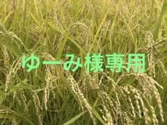ゆーみ様専用① うちのお米　他の方はご遠慮ください