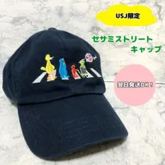 【USJ限定】ユニバ　セサミストリート　キャップ　帽子　刺繍