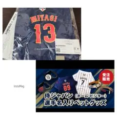 新品2025受注選手名入りドックシャツ13宮城大弥