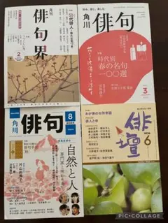 俳句雑誌 4冊セット 俳句界 角川俳句 俳壇