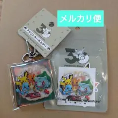 ポケモン 30周年 ステッカー・アクリルキーホルダー ２点セット