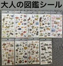 yun様 リクエスト 2点 まとめ商品