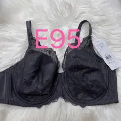 トリンプ 美胸ホールドブラ フルカップブラジャー ダークブラウン E95