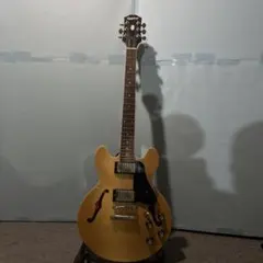 Epiphone es-339のサムネイル