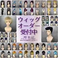 2026年最新】ウィッグ制作依頼の人気アイテム - メルカリ