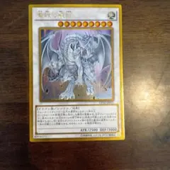 蒼眼の銀龍 GP16−JP011