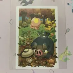 ポケモン　ポストカード　グルトン
