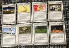 ポケモンカード８枚 トレーナー