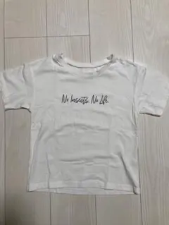 インセクトコレクション Tシャツ L 120-130