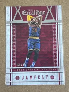 70枚限定LeBron James Excalibur No.10