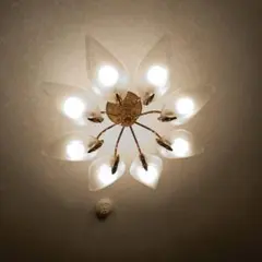 シーリングライト花