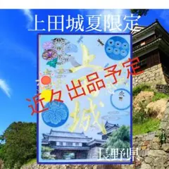 石田三成 徳川家康 黒田長政 井伊直政 美濃紙 切り絵 武将印 刀剣乱舞