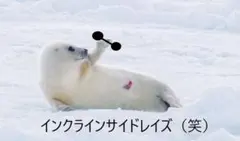 あじら2002様専用商談ページʕ•ᴥ•ʔ