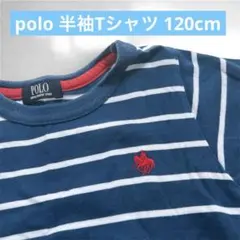 POLO ストライプ 半袖Tシャツ ネイビー 120