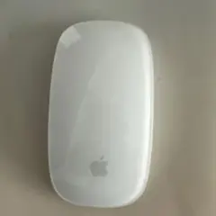 Apple Magic Mouse + USBケーブル