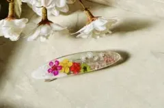 Item thumbnail for item 7fffaeaa-c69a-47b6-9e8f-0bc0d415f461