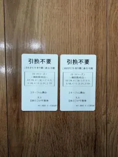 スキージャム勝山 25-26シーズン 大人 休日SP早割券 2枚セット