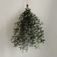 Item thumbnail for item b5dde08d-81ce-4112-8aec-1a45423cac2f