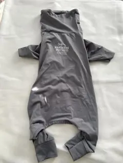 Item thumbnail for item 16b42825-fb84-40ac-8784-8eee3fd9cab0