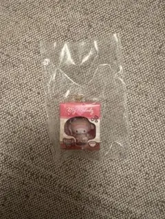 サンリオ　ミニチュアパッケージチャーム