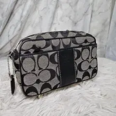 美品 coach コーチ シガレットケース 小物入れ ミニシグネチャー 黒