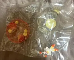 2025年最新】プチフルールEXガラル地方編の人気アイテム - メルカリ