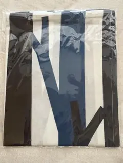 【新品未開封】scope マルチケース twiggy