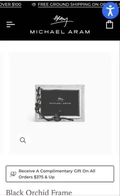 2026年最新】マイケル アラムの人気アイテム - メルカリ