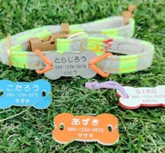 Item thumbnail for item 07b6f698-6610-4356-bdee-383ce64fb236