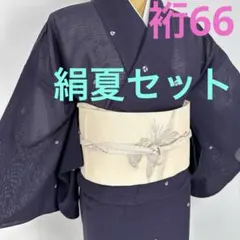 正絹　絽　訪問着 金彩　夏袋帯付き　2点セット　トールサイズ　裄69 裄70 正絹 絽 訪問着 金彩 夏袋帯付き 2点セット トールサイズ 裄69 裄70