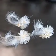 和装用ヘア飾り 花とはね ケース入り