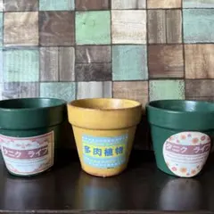 多肉植物用レトロ鉢３個のサムネイル