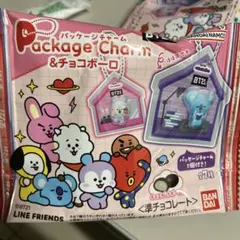 BT21 パッケージチャーム TATA