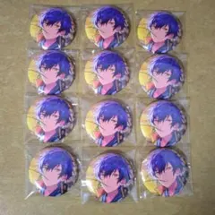 【未使用】あんスタ　漣ジュン　缶バッジ　テーマスカウト　SUMMER