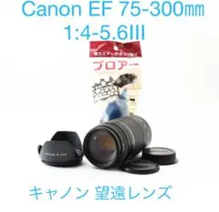 2026年最新】Canon LENS EF 75-300mm 1:4-5.6の人気アイテム - メルカリ