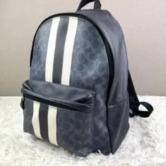 COACH シグネチャー リュック バックパック レザー PVC A4収納可のサムネイル