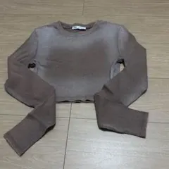 ZARA ラメ　カットソー　クロップド　長袖　リブ