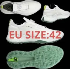 ECCO BIOM GOLF ゴルフシューズ BOA 43 防水 美品 27.5 - メルカリ