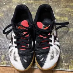 卓球用シューズ ミズノ　ウェーブメダル　mizuno 中古