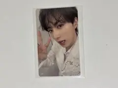 Item thumbnail for item 0f3d2118-73b6-464c-8b95-a475d3c32963