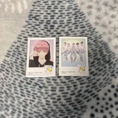 多聞くん今どっち！？ アニメイト 特典