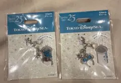 ディズニーシー 25周年 チャーム