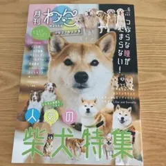 Item thumbnail for item d46807d2-0362-42e6-8f6b-b08fcb326c41