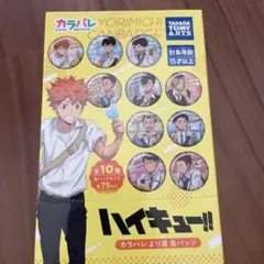 ハイキュー!! 缶バッジセット 全10種