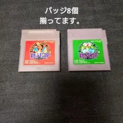タ*ン様 ポケットモンスター 赤・緑 ゲームボーイソフト　ポケモン初期