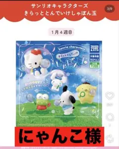 【にゃんこ様 専用ページ】