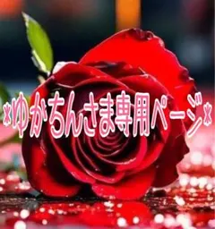 *ゆかちんさま専用ページ*