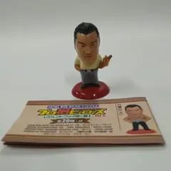 プロ格ヒーローズ